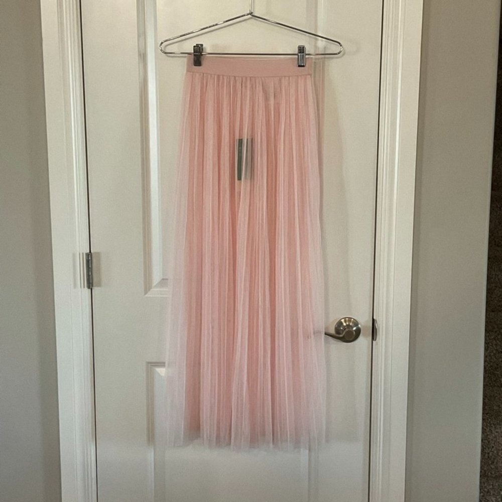 NWT Pale Pink Skirt